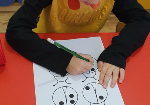 Tymek wykonuje "kropkową" kartę pracy- przelicza i rysuje kropki biedronce.